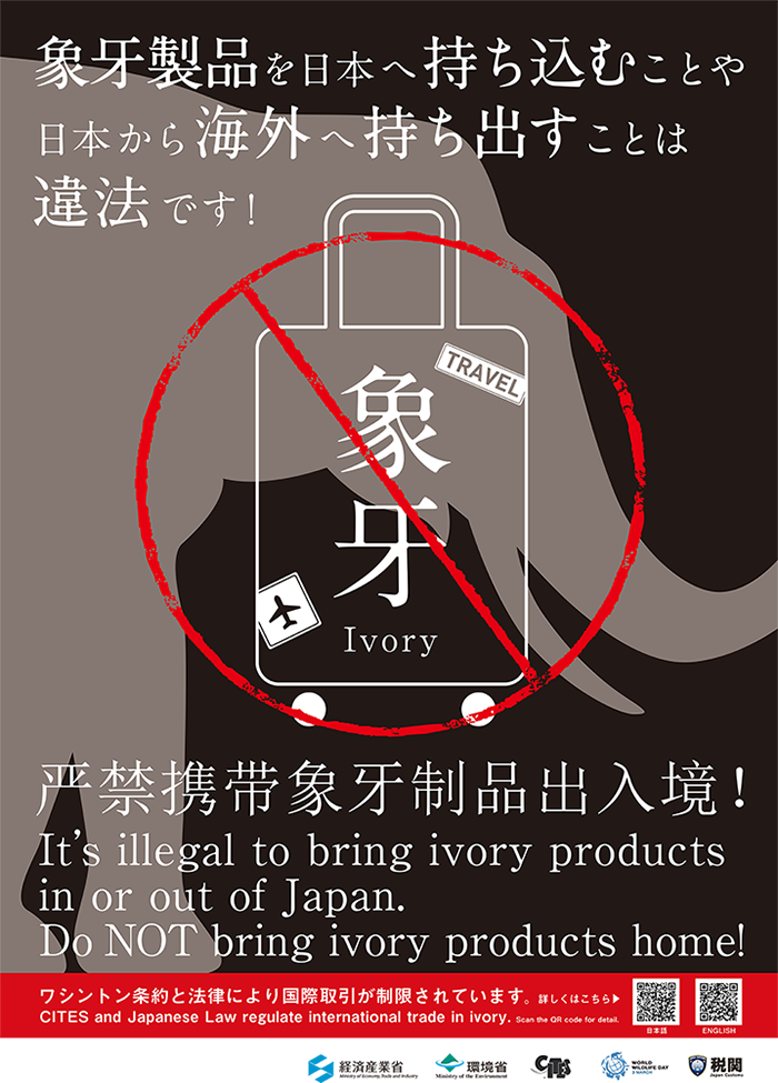 象牙製品を日本へ持ち込むことや日本から海外へ持ち出すことは違法です！