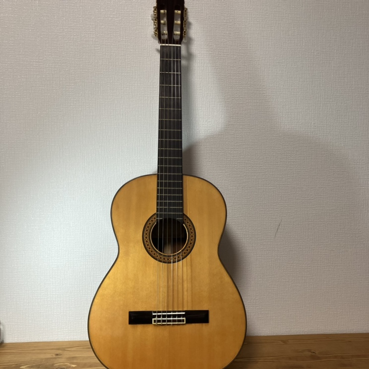 ゼンオン アコースティックギター フォークギター クラシックギター zg-300 ブラウン